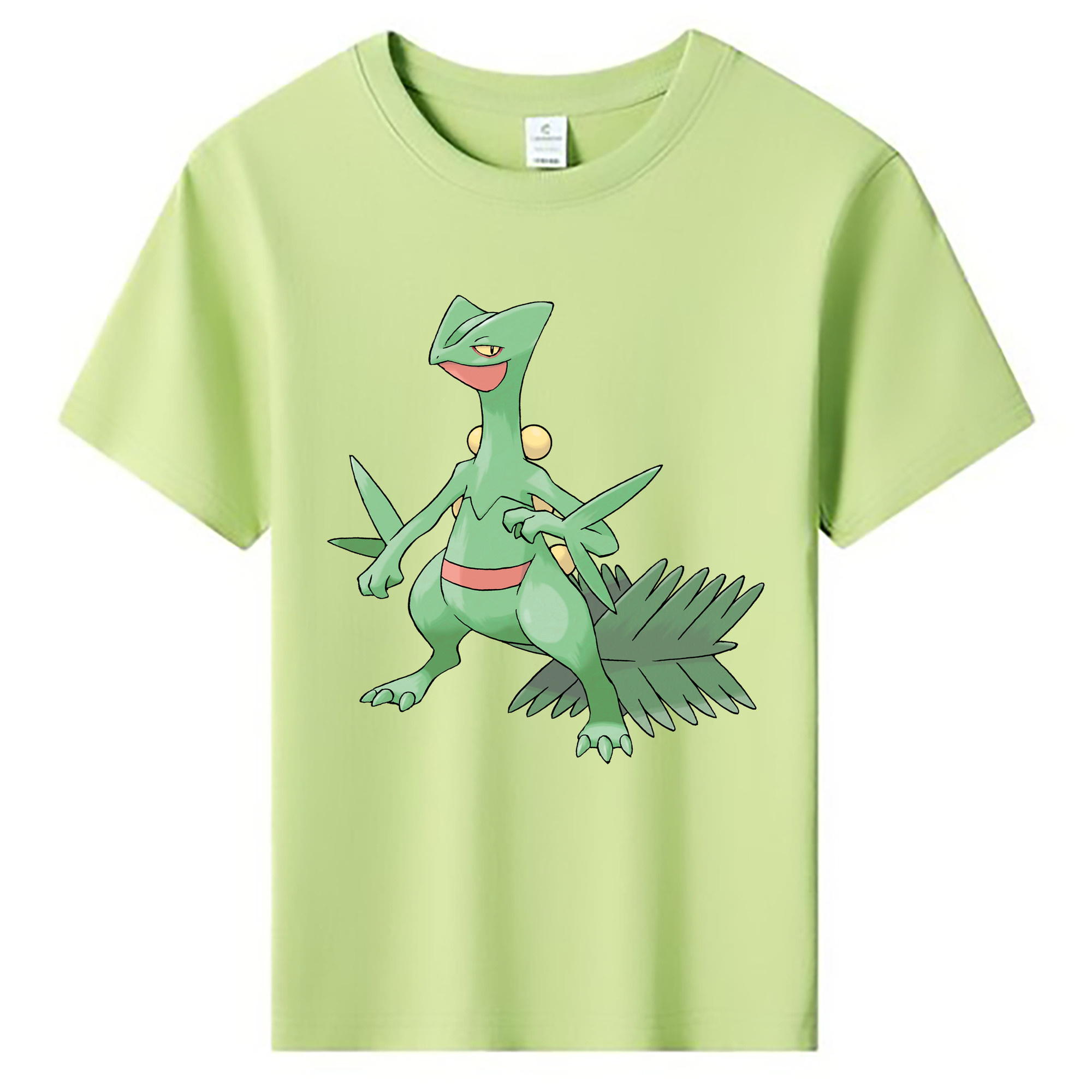 （画像用） ポケットモンスター Pokémon 綿100％キッズTシャツ（フロントプリント）